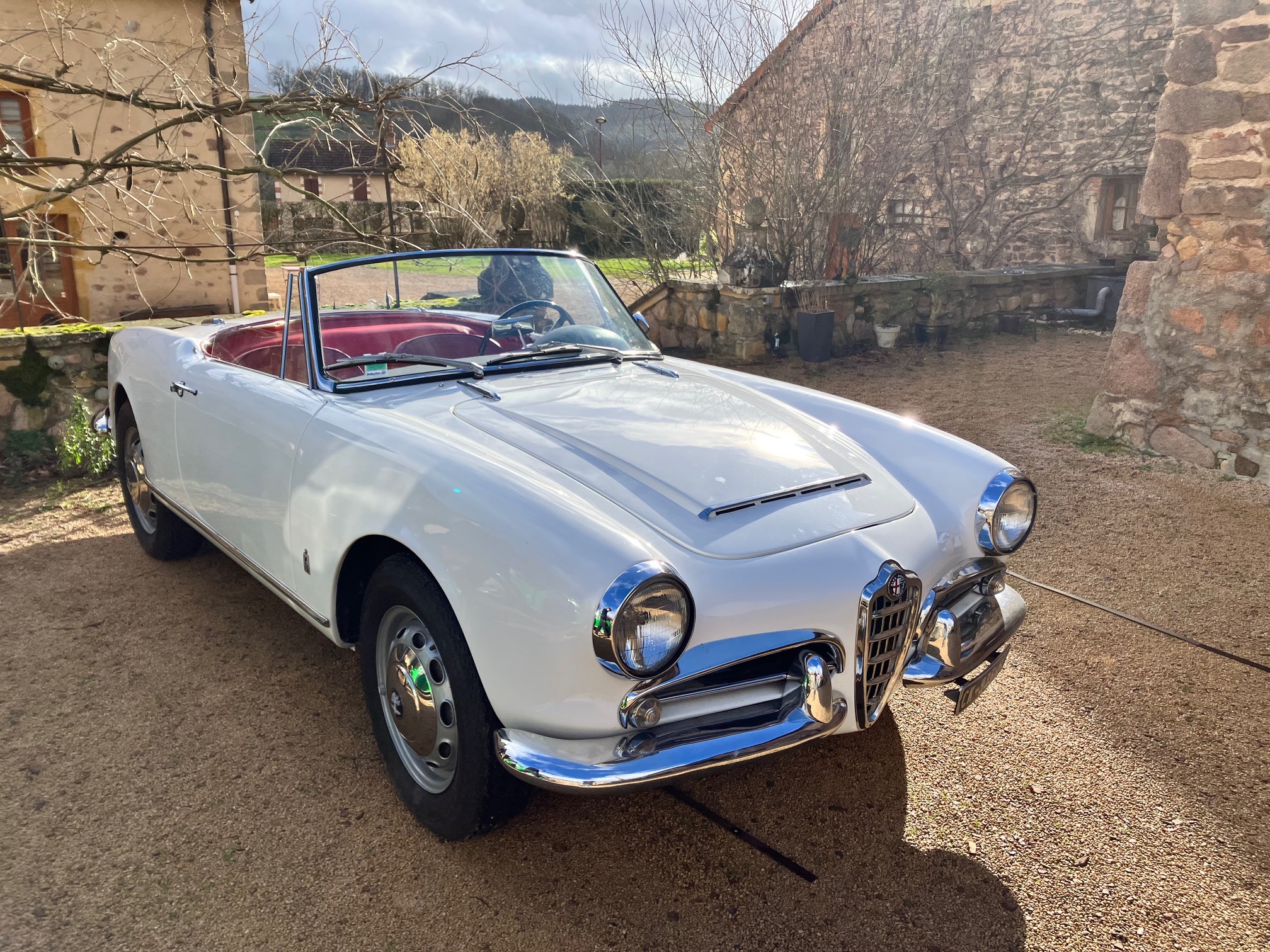 alfa romeo spider 2000 1982