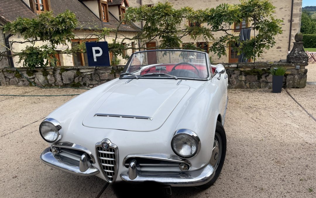ALFA ROMEO Giulia Spider 1963