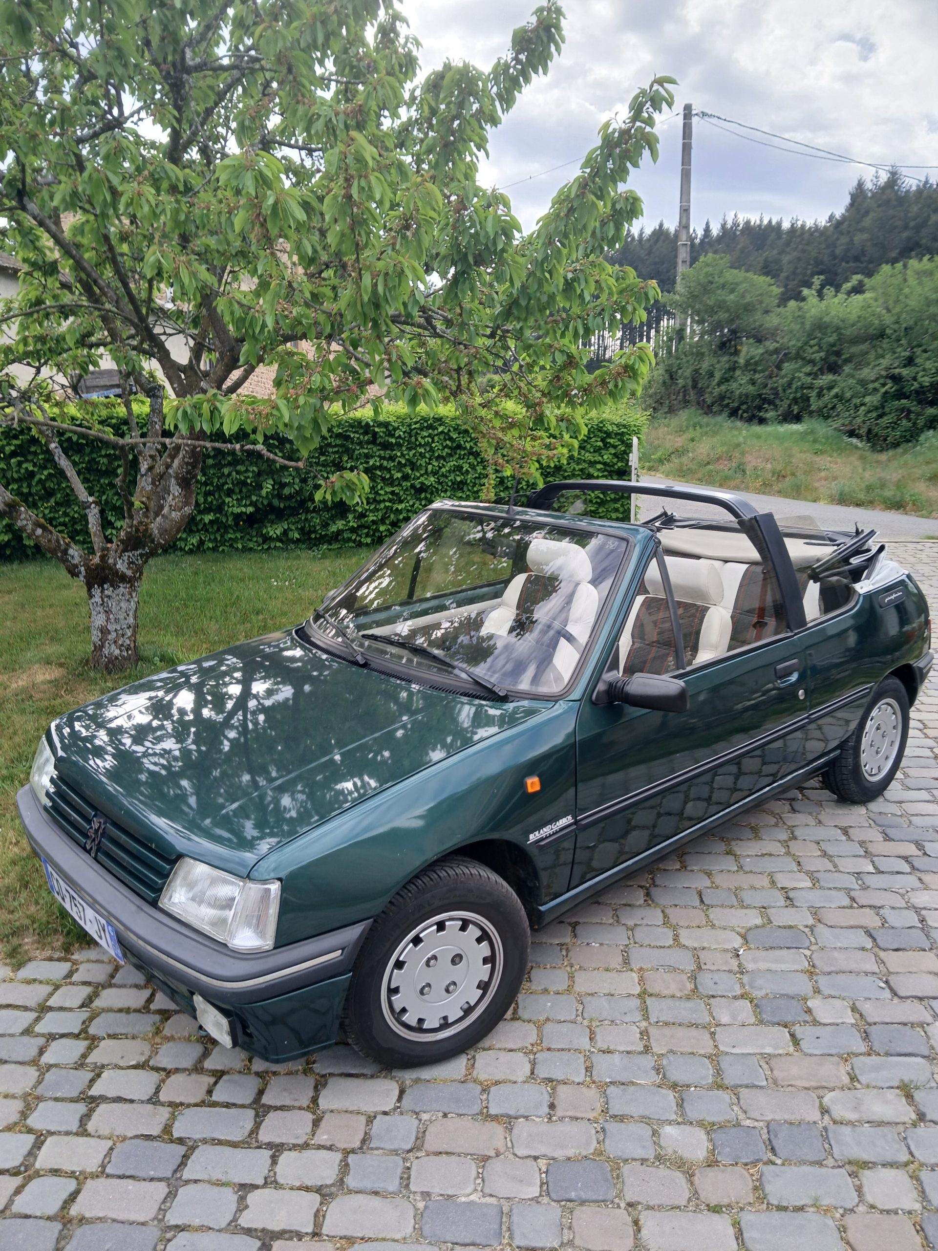 alfa romeo spider 2000 1982